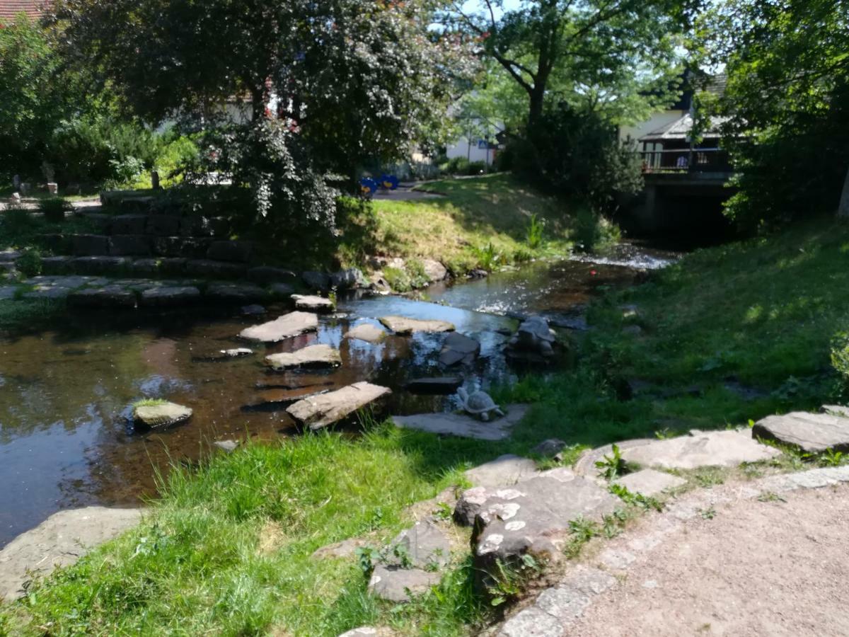 Am Sommerberg Unterkirnach Екстериор снимка